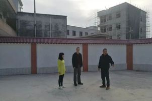 宋王寨村委會最新項目，樹立鄉(xiāng)村發(fā)展典范