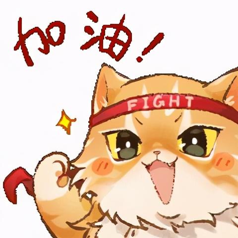 最新斗圖貓，探索斗圖新時(shí)代的新寵兒