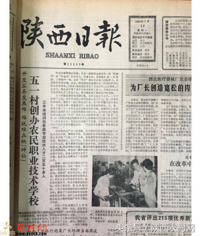 最新雞瘟新聞，禽畜健康挑戰(zhàn)引發(fā)人類生活關(guān)注