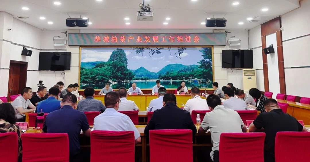 平桂區(qū)殯葬事業(yè)單位動態(tài)更新，改革與進步引領(lǐng)行業(yè)前沿