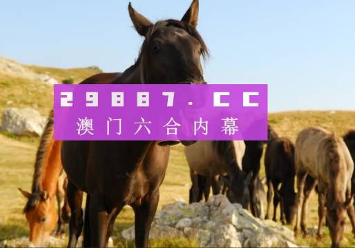 澳門管家婆一肖一碼一中一開,實踐經(jīng)驗解釋定義_NE版20.972
