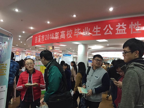 寧波市郵政局最新招聘信息概覽，崗位、要求及申請指南