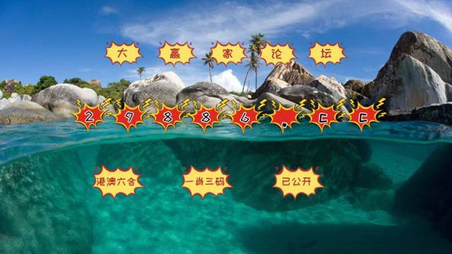 澳門天天開好彩正版掛牌,快速響應執行策略_QHD27.510