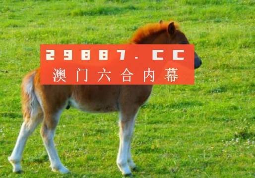 新澳今晚必開一肖一碼｜高速應對邏輯