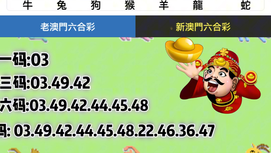 新澳門六2004開獎記錄,實地數(shù)據(jù)評估解析_Max43.948