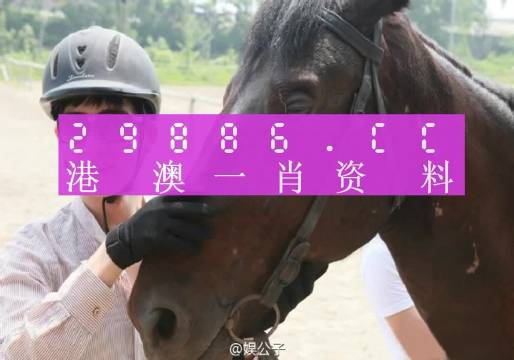 澳門一肖一碼一必中一肖同舟前進(jìn),最新核心解答落實(shí)_Executive61.685