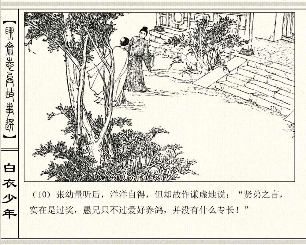 探索養鴿新境界，最新養鴿故事分享