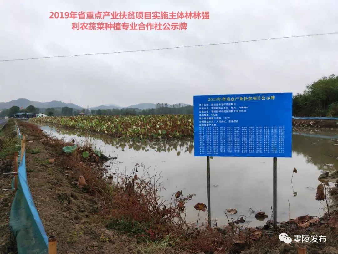 企業(yè)管理咨詢 第47頁