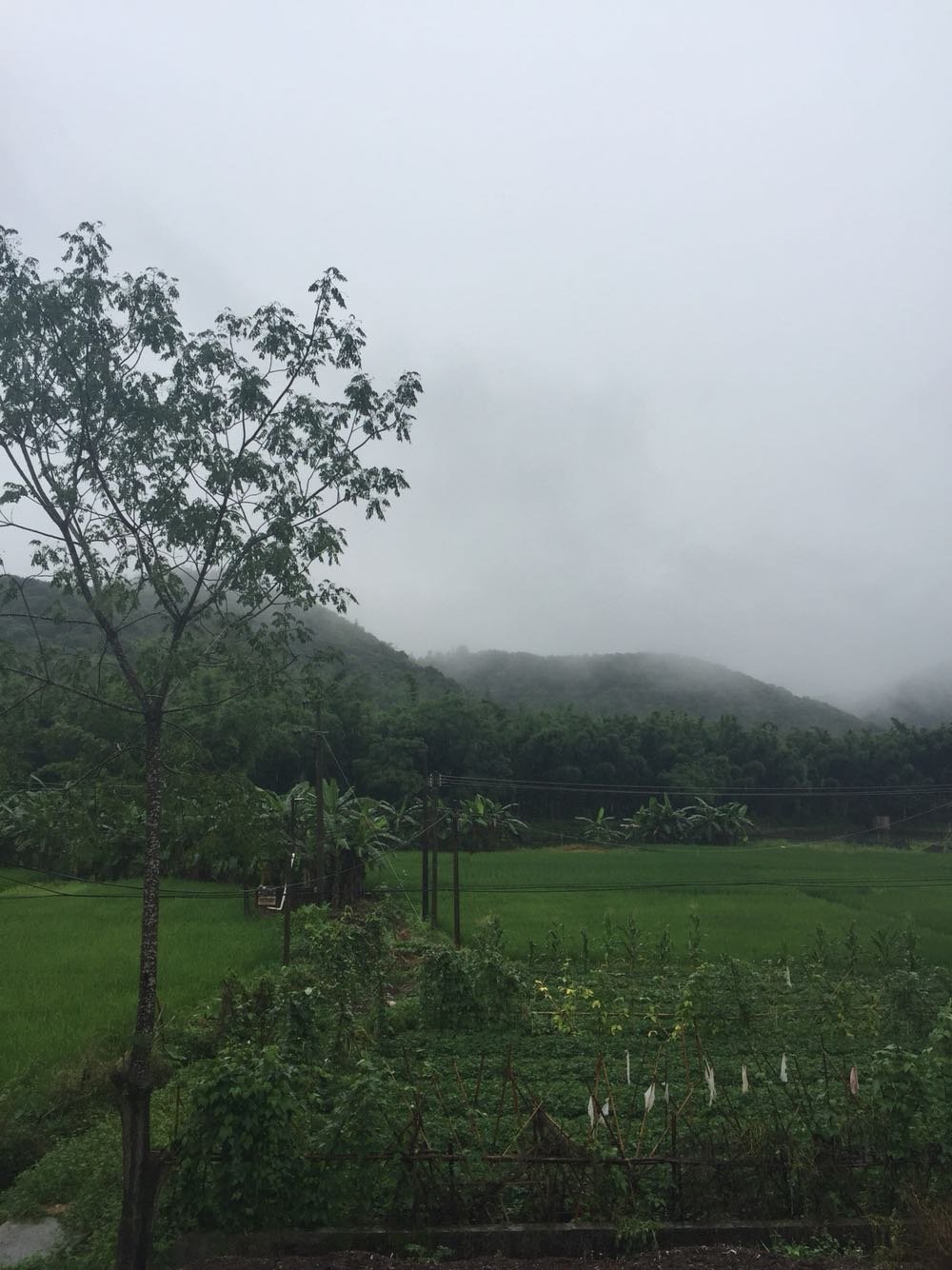 梁河村委會(huì)最新天氣預(yù)報(bào)概覽