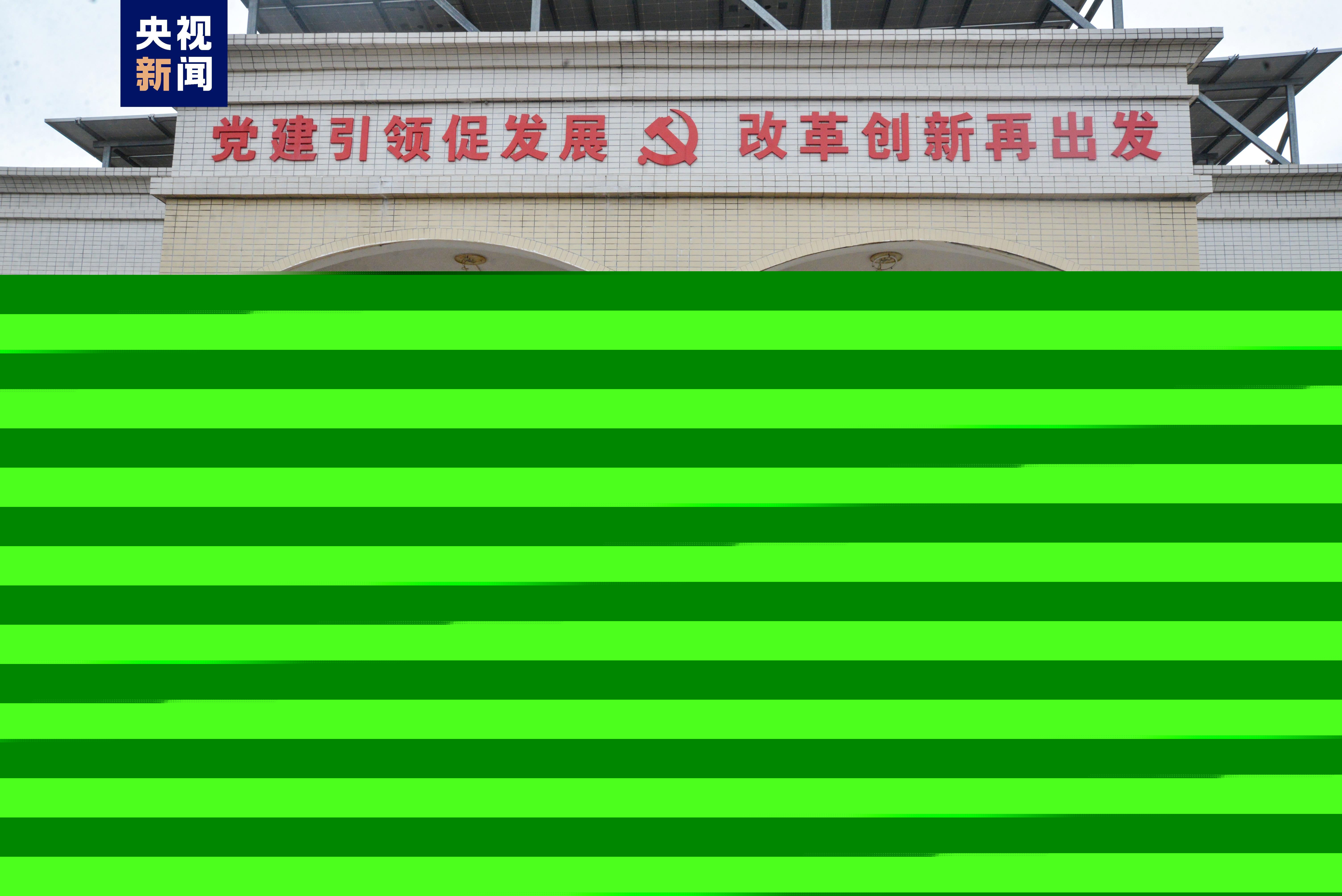 維芨灘村委會最新動態報道