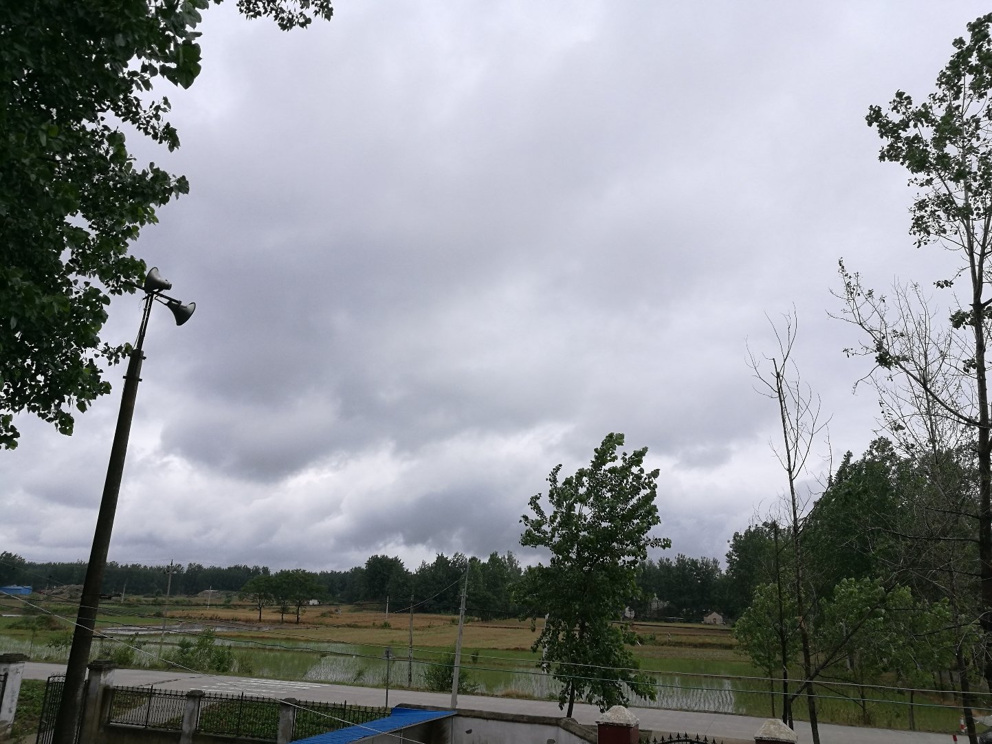 鄭集鎮(zhèn)最新天氣預(yù)報(bào)更新通知
