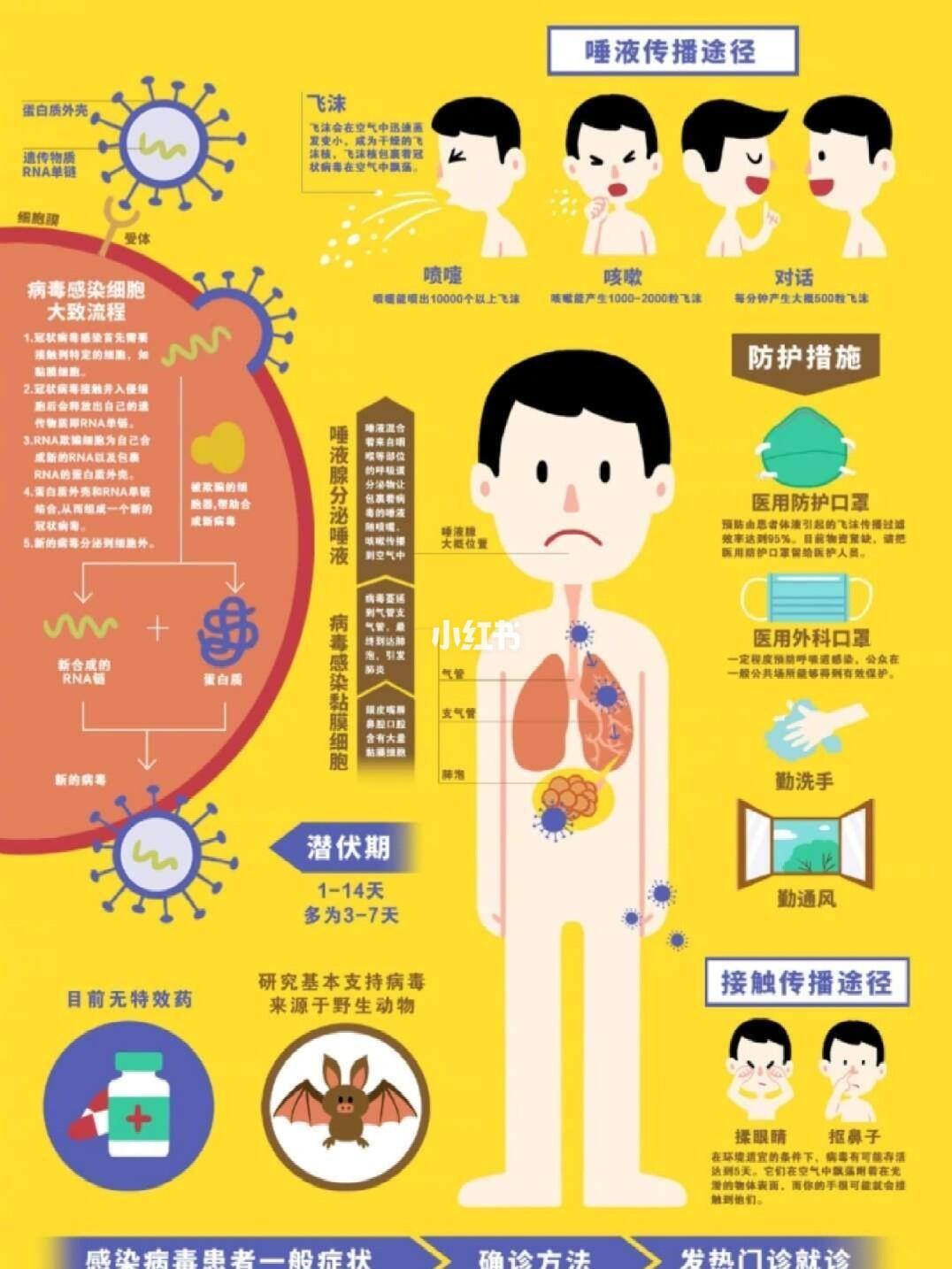 最新肺炎感染途徑研究，探索、防控策略與啟示