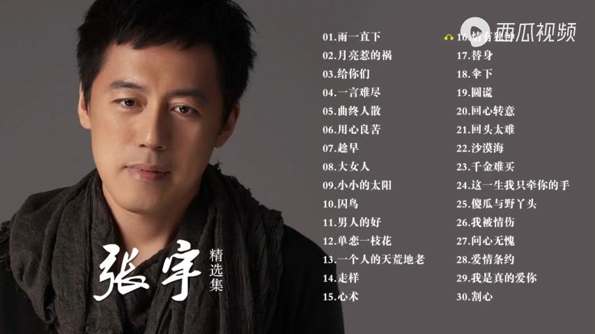 張宇最新歌曲，音樂魅力與情感的完美融合，聆聽張宇的音樂之旅